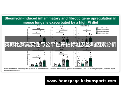 英冠比赛真实性与公平性评估标准及影响因素分析