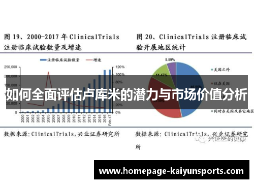 如何全面评估卢库米的潜力与市场价值分析